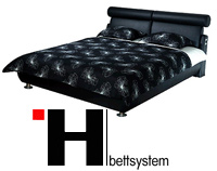 ������� HbettSystem