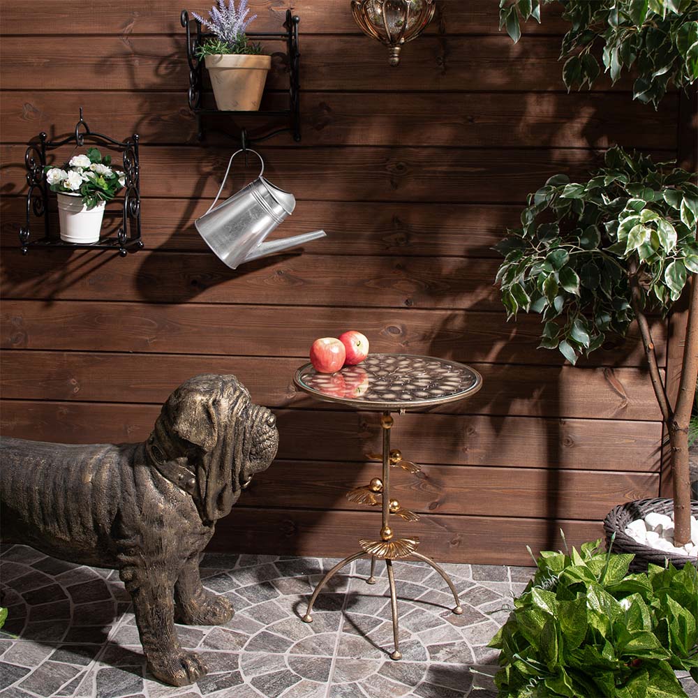 ������ ������������ ��������� ����