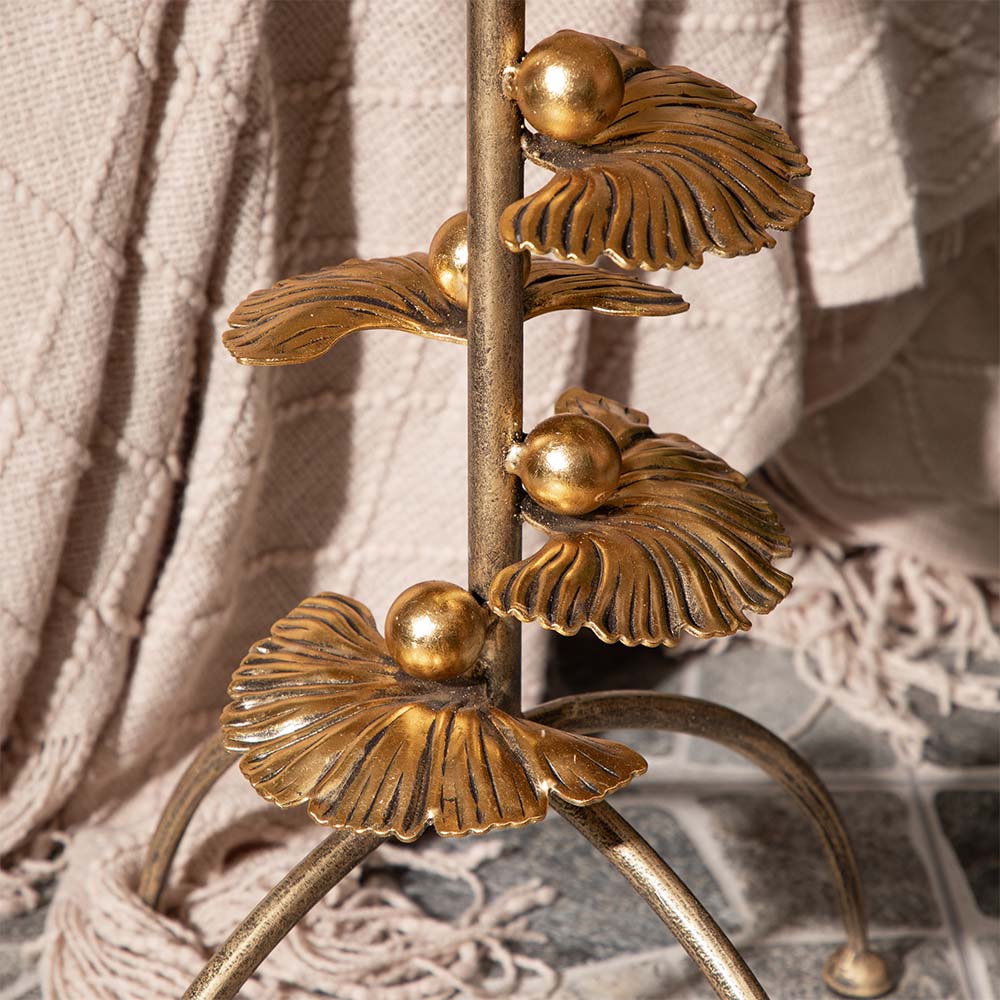 ������ ������������ ��������� ����