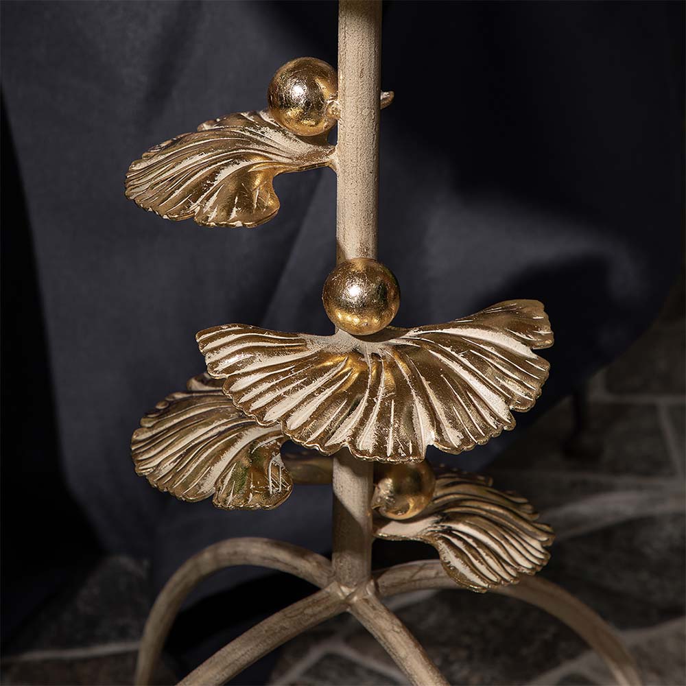 ������ ������������ ��������� ����