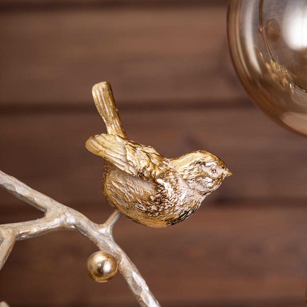 ������ ���������