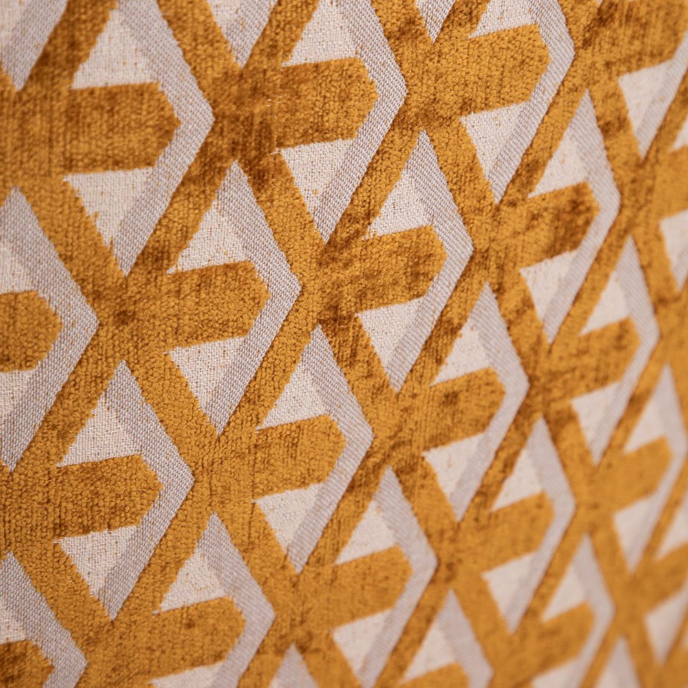 �������� ����