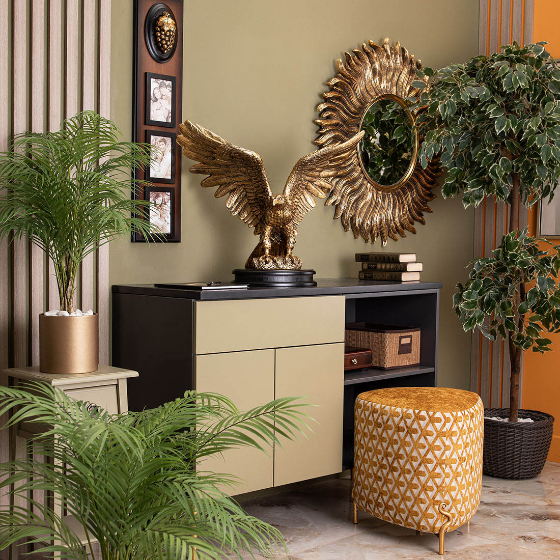 �������� ����