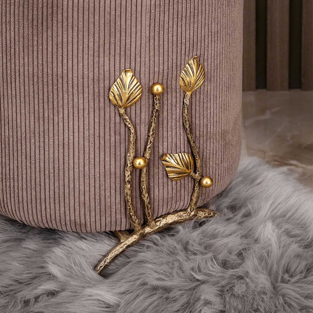 ��� ������� ��������� ����