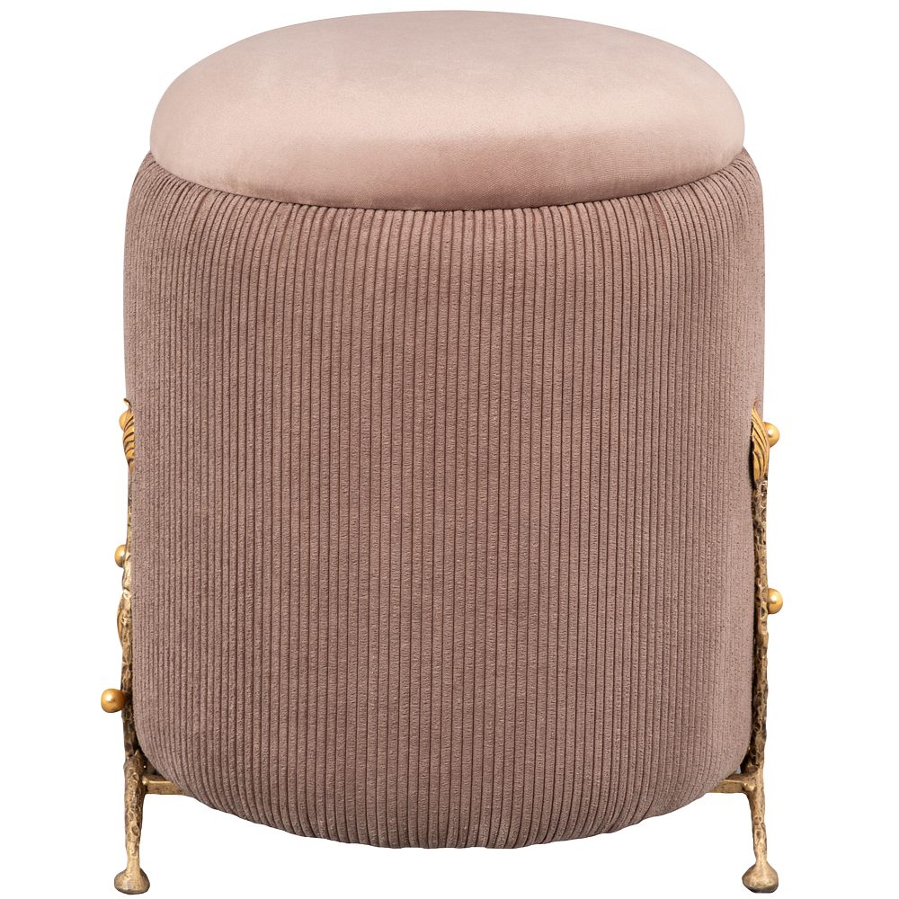 ��� ������� ��������� ����