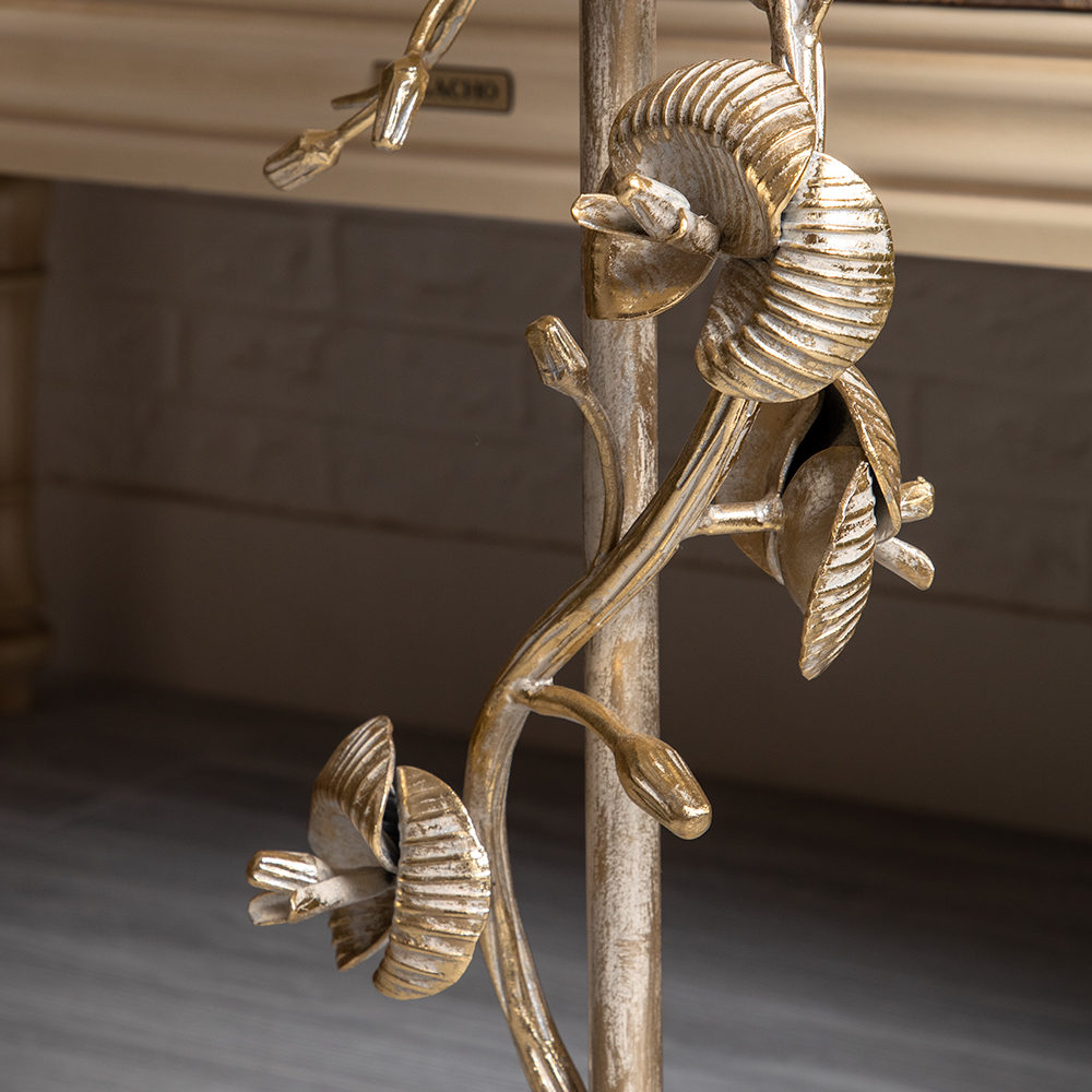 ������ ������������ ������� ����