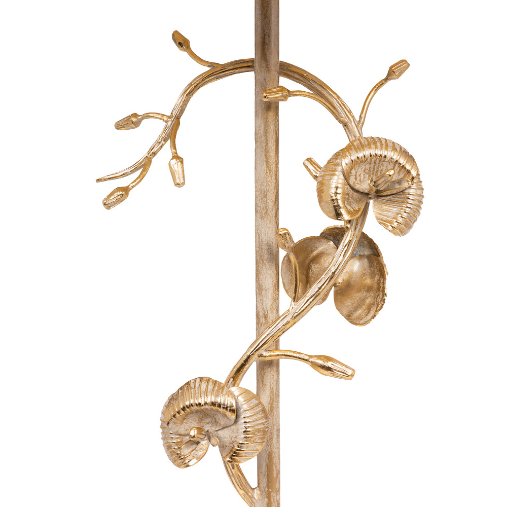 ������ ������������ ������� ����