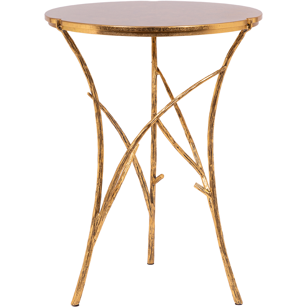 ������ ������������ ��������