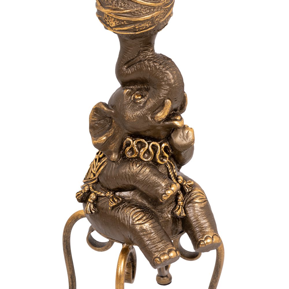 ������ ������������ ���� �������