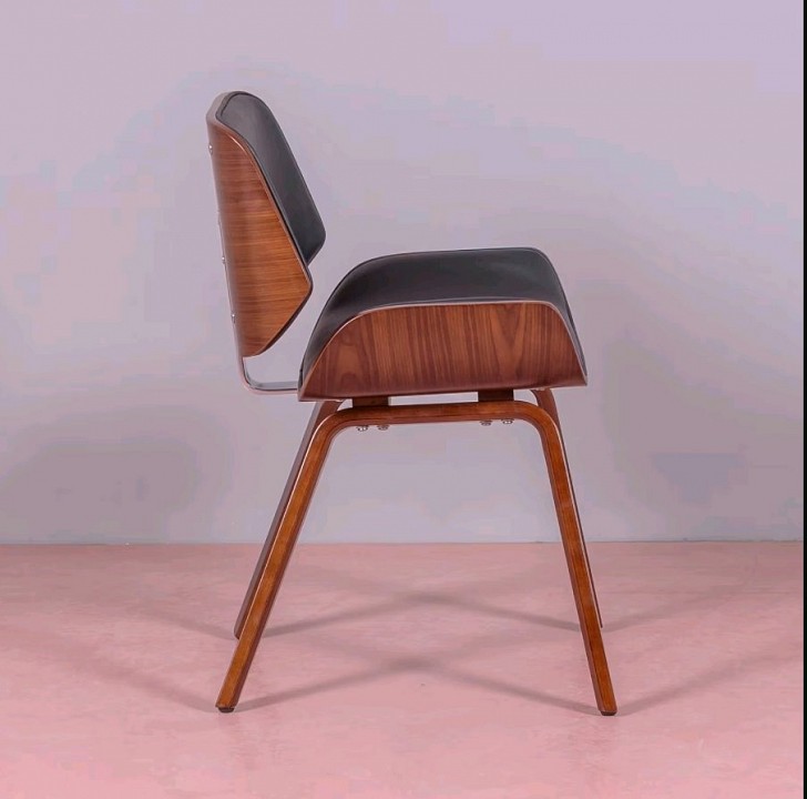 ���� Harmony Echo