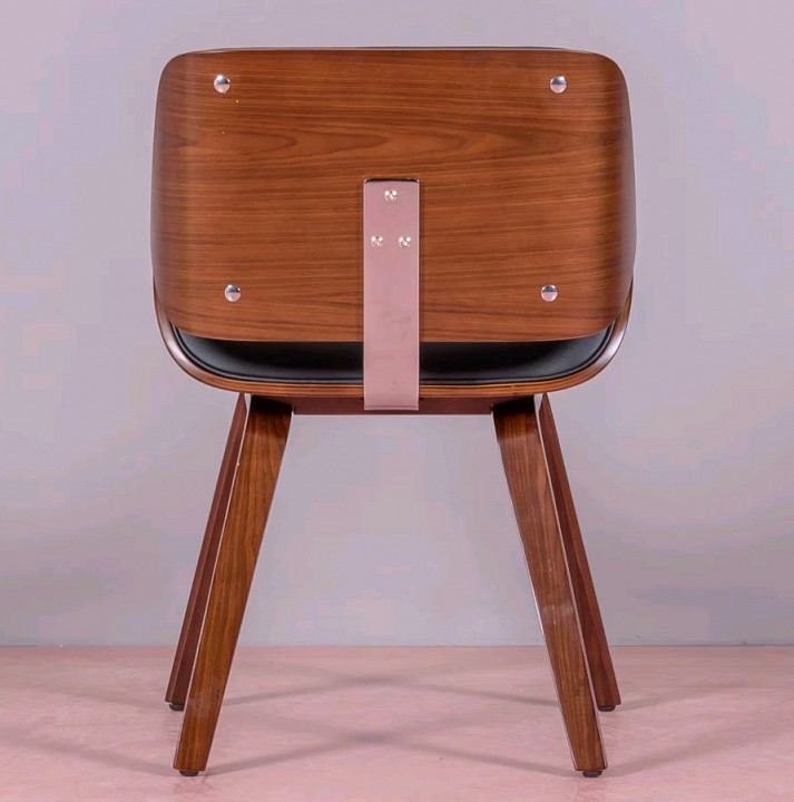 ���� Harmony Echo