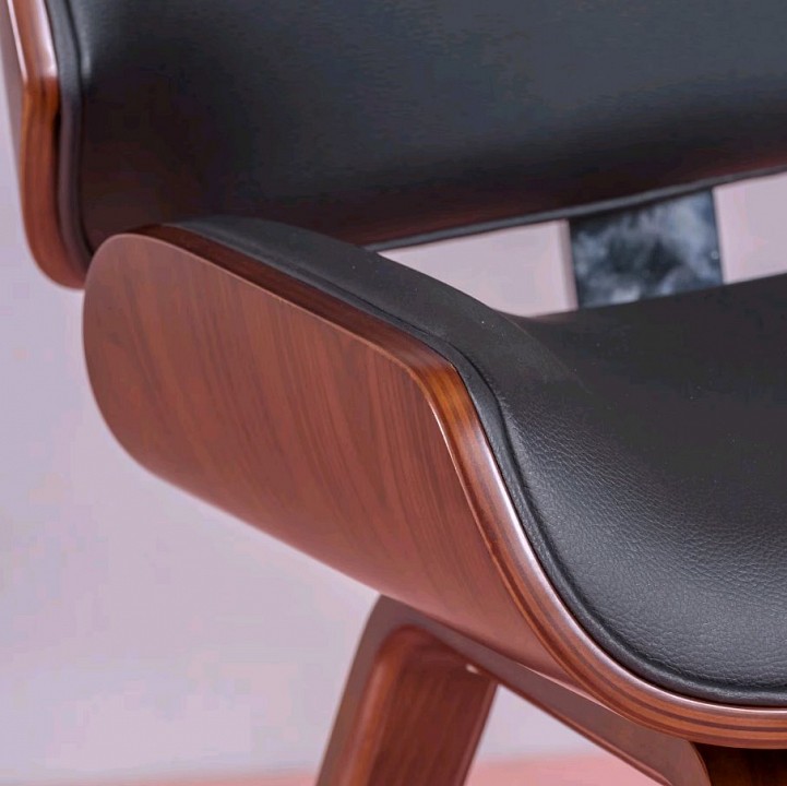 ���� Harmony Echo