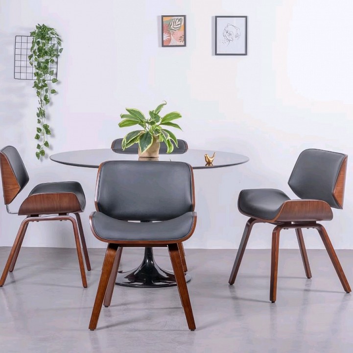 ���� Harmony Echo