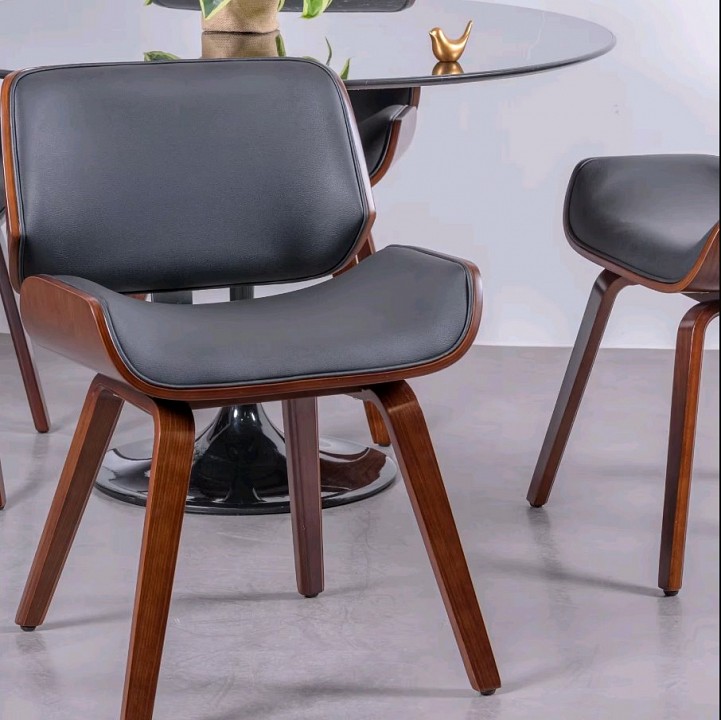 ���� Harmony Echo