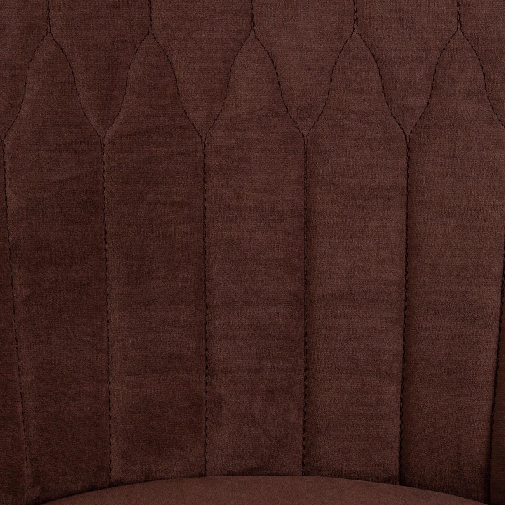 ���� ������������ Tetchair Swan