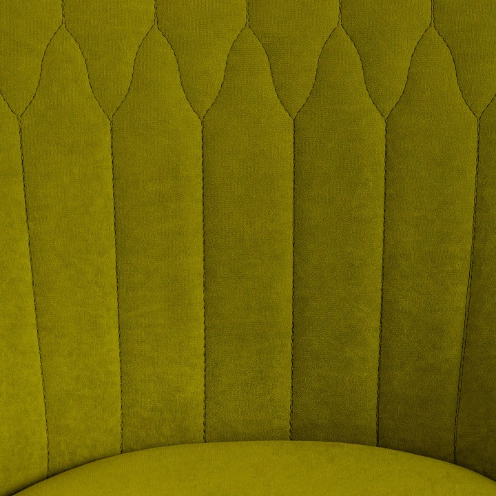 ���� ������������ Tetchair Swan