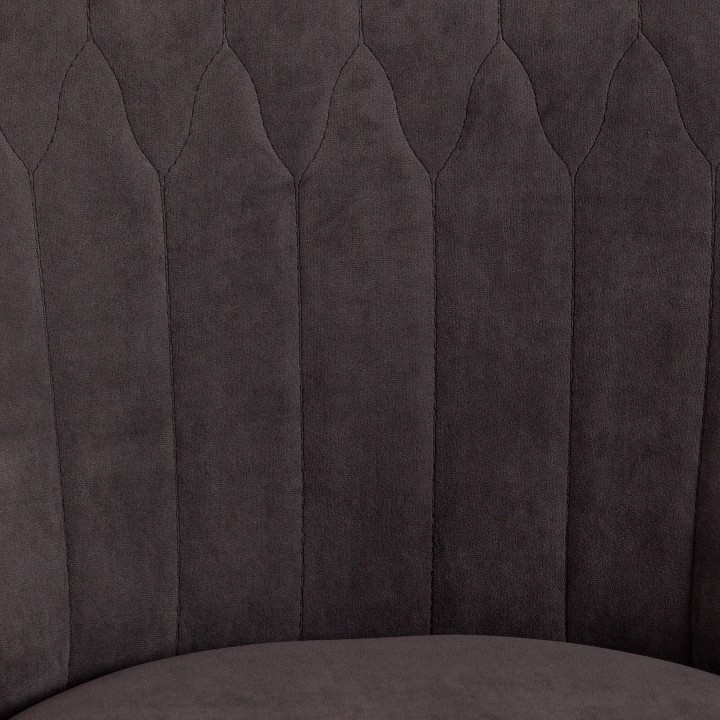 ���� ������������ Tetchair Swan