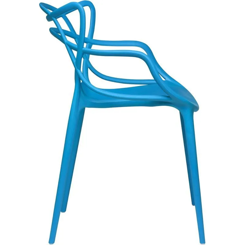 ���� Masters �������