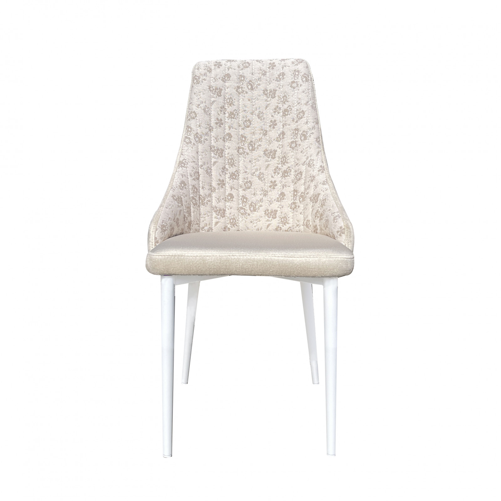 ���� ����