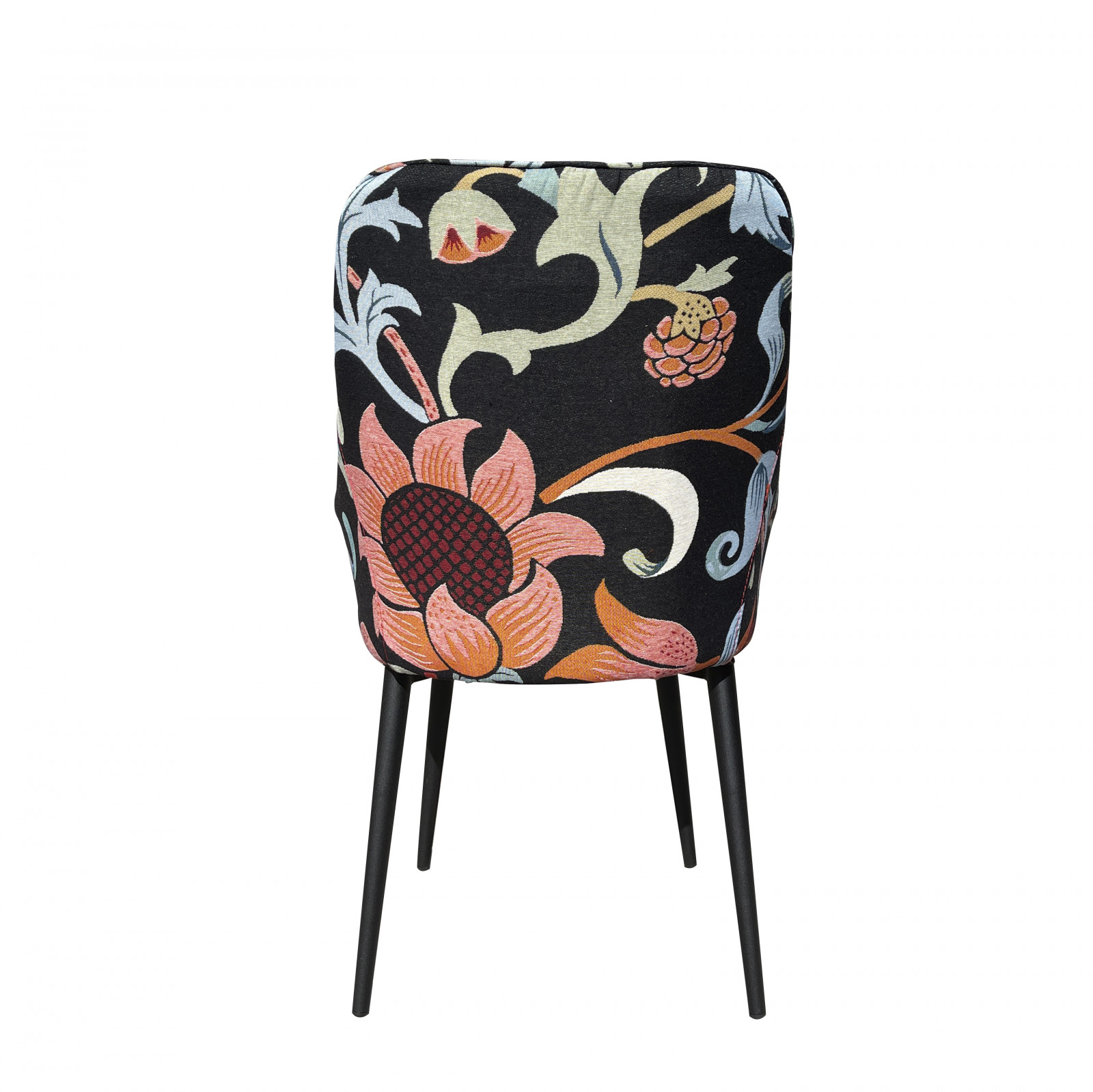 ���� ����