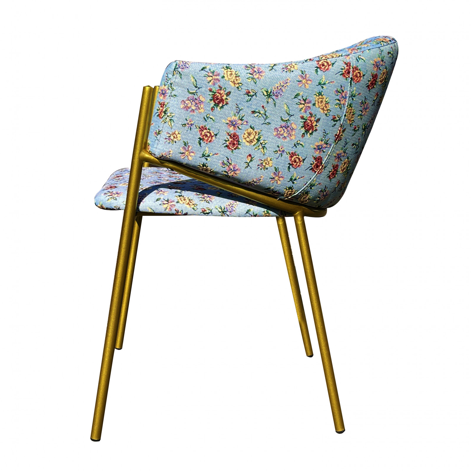 ���� ����