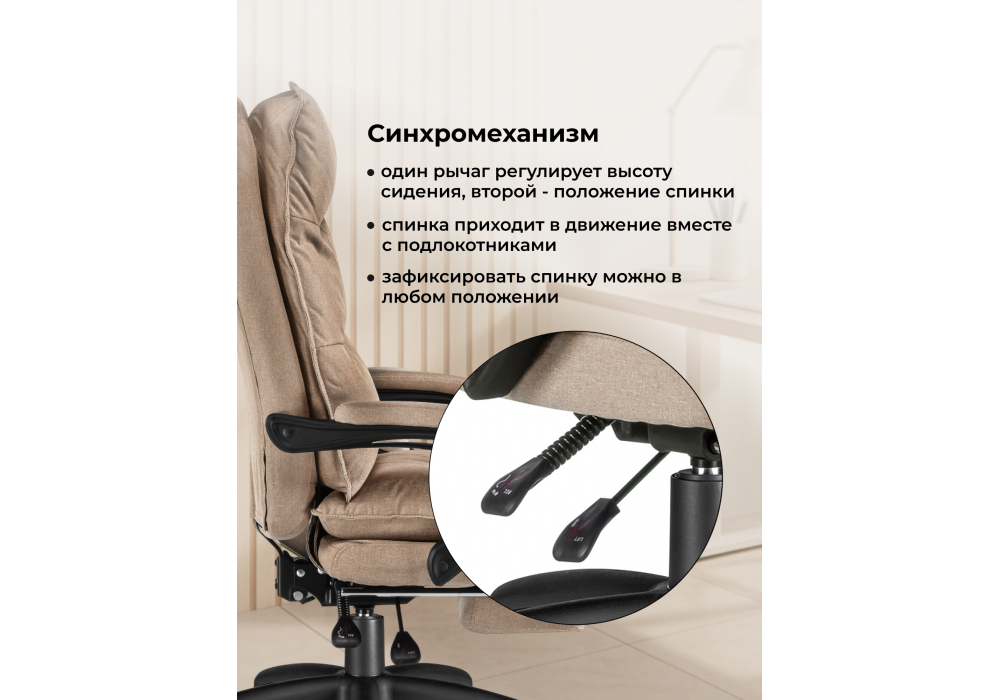 ������������ ������ Rapid �������