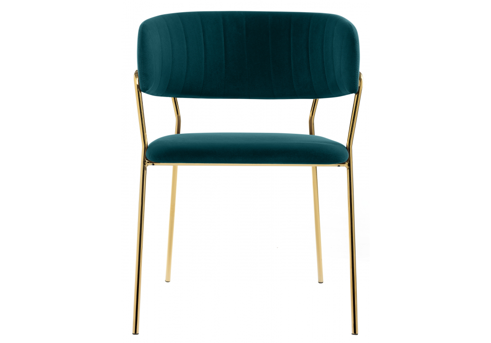 ���� �� �������������� Kamelia ������� / ������