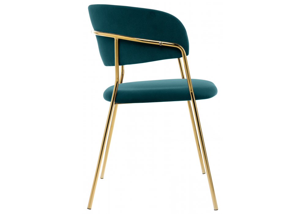 ���� �� �������������� Kamelia ������� / ������