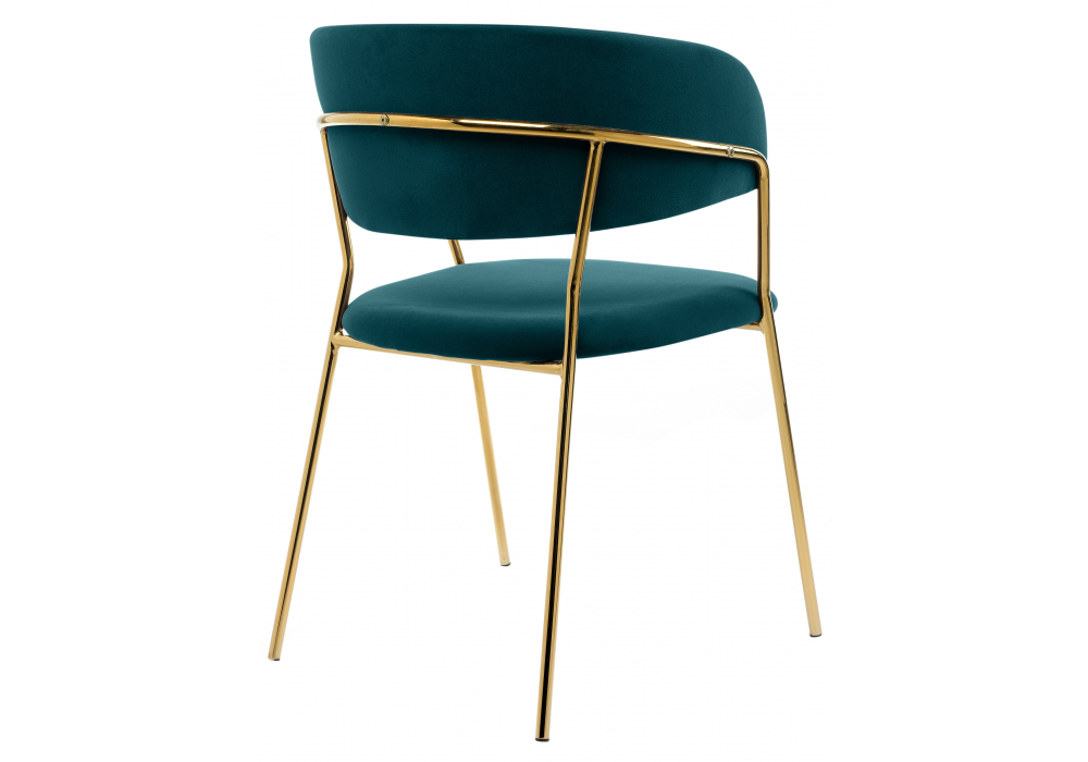 ���� �� �������������� Kamelia ������� / ������