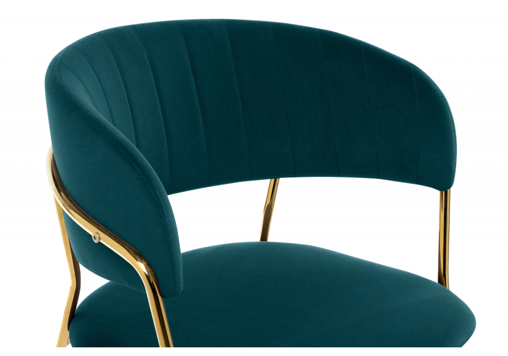 ���� �� �������������� Kamelia ������� / ������