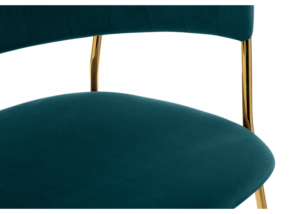 ���� �� �������������� Kamelia ������� / ������