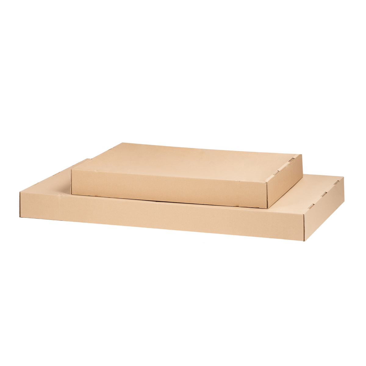 ���� ���������� ������