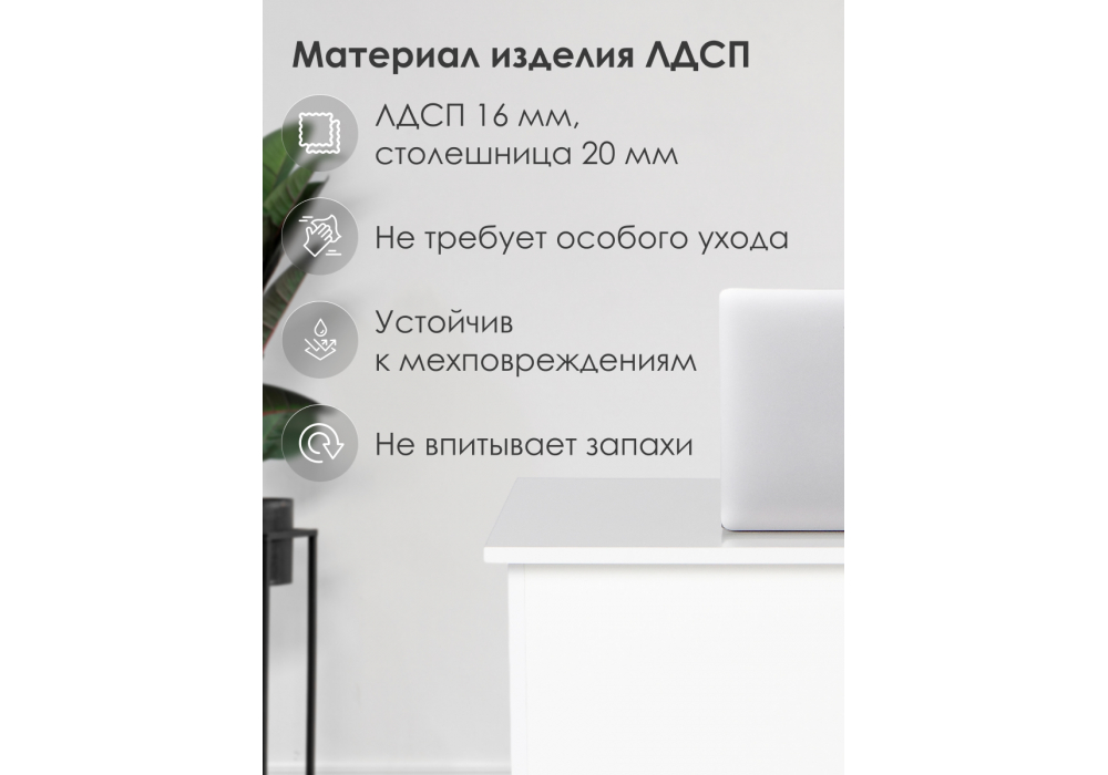 ������������ ���� Kiwi �����