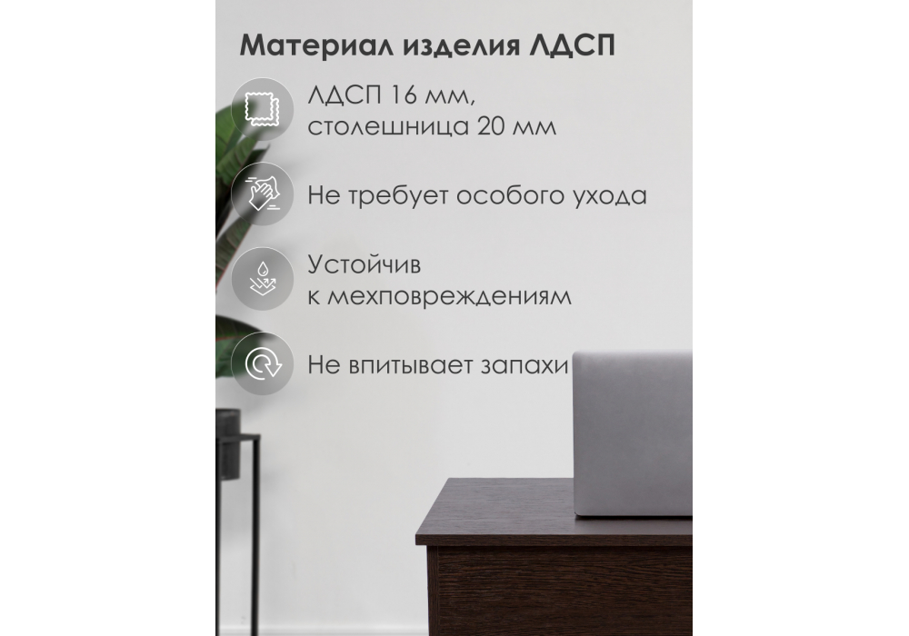 ������������ ���� Kiwi �����