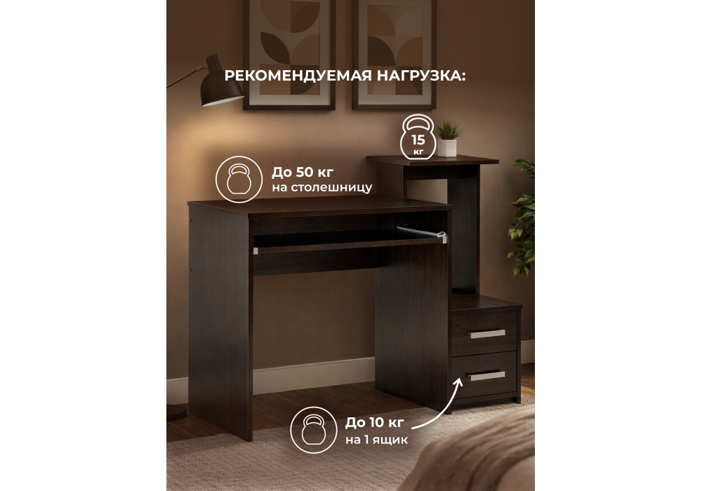 ������������ ���� ����-24