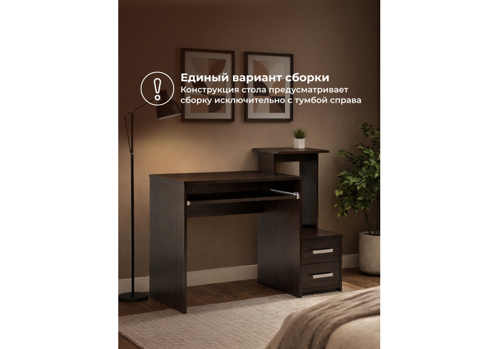 ������������ ���� ����-24