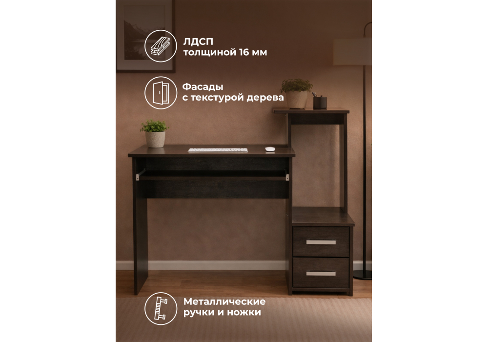 ������������ ���� ����-24