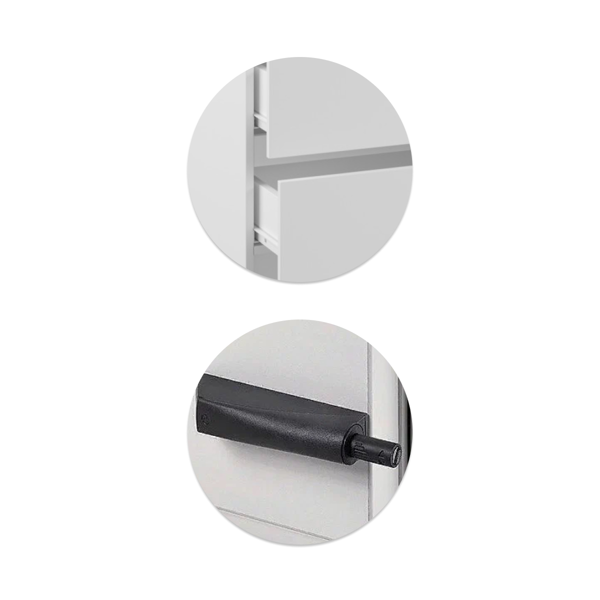 ���� ������ �����