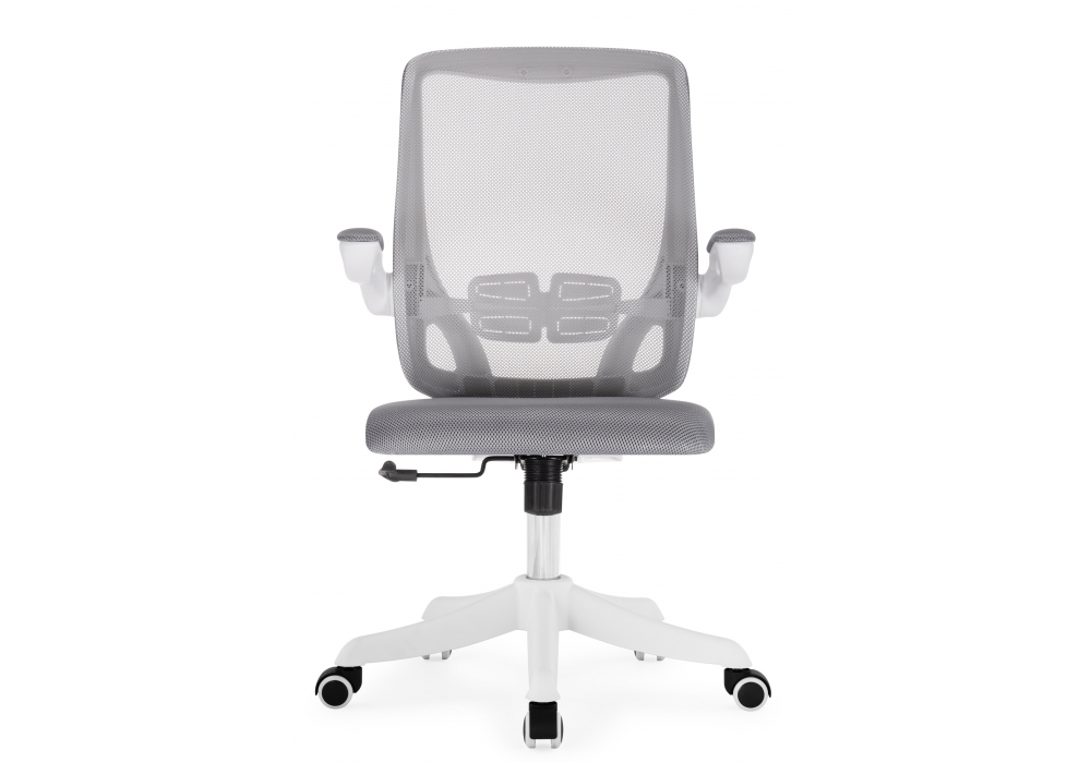 ������������ ������ Salem gray / white