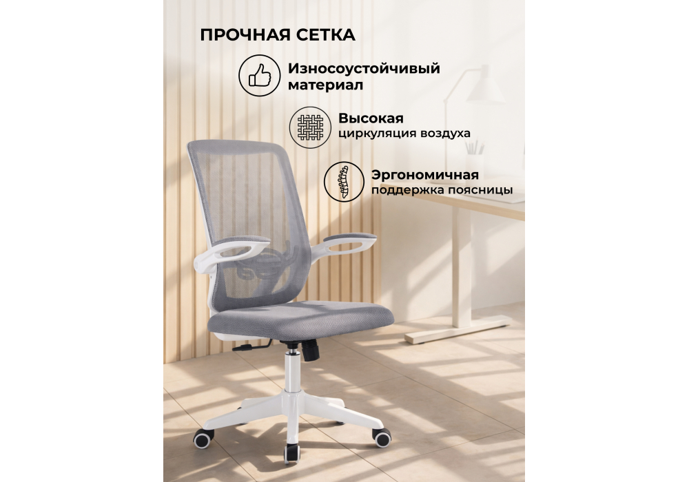 ������������ ������ Salem gray / white
