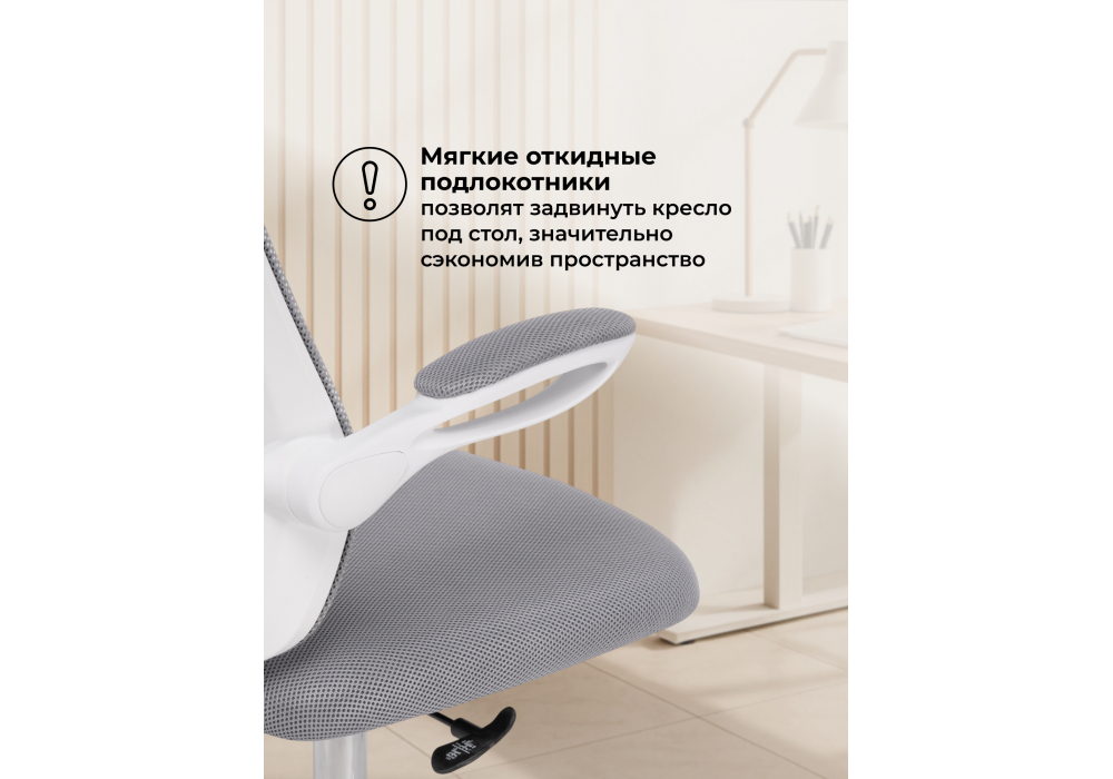 ������������ ������ Salem gray / white