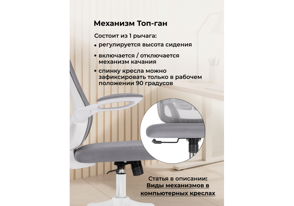 ������������ ������ Salem gray / white