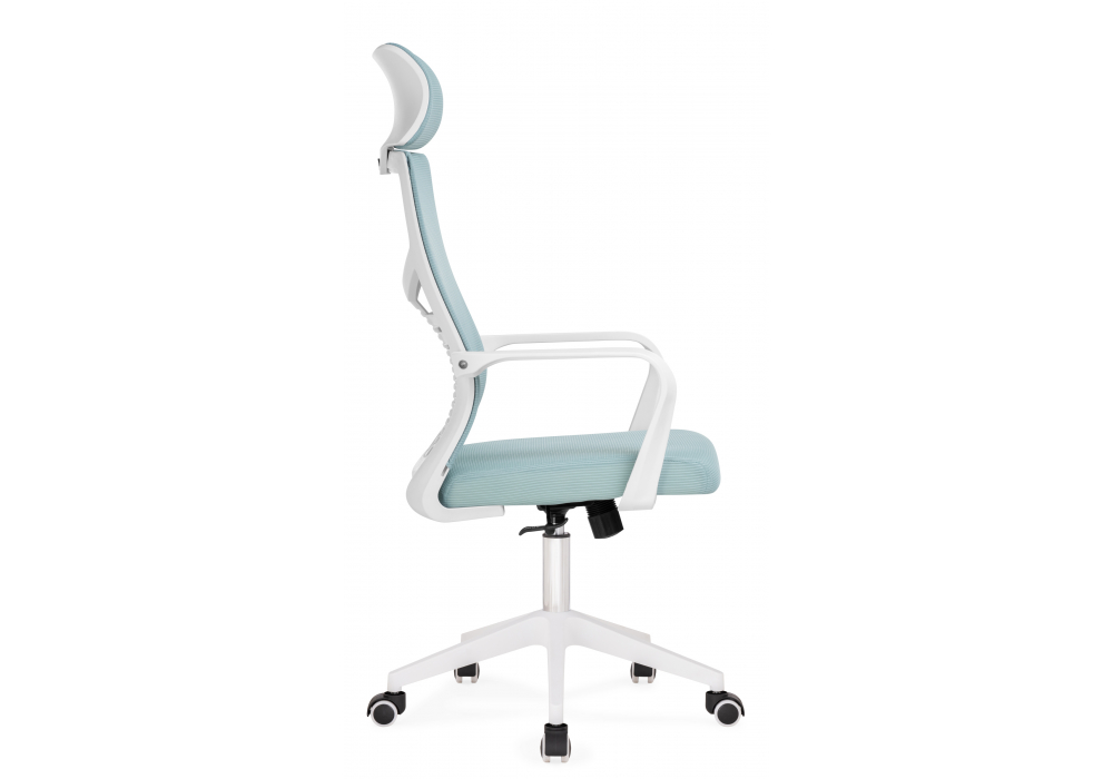 ������������ ������ Montana blue / white