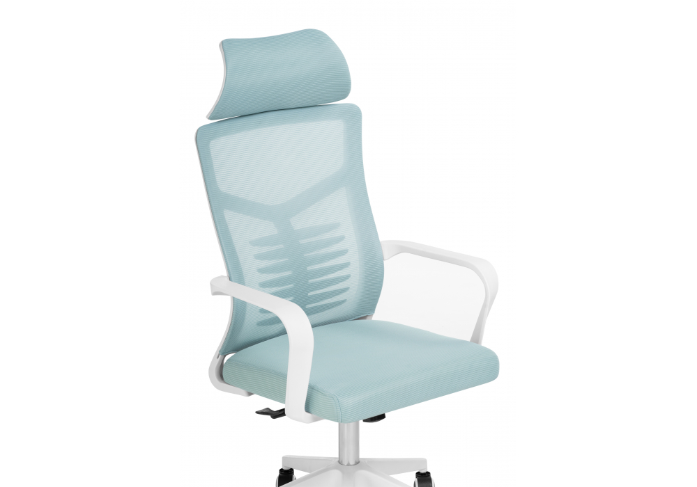 ������������ ������ Montana blue / white