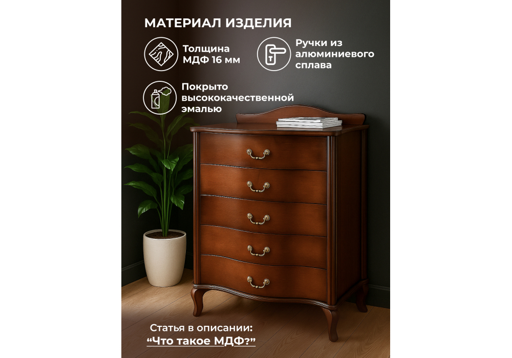 ����� ��������� ����