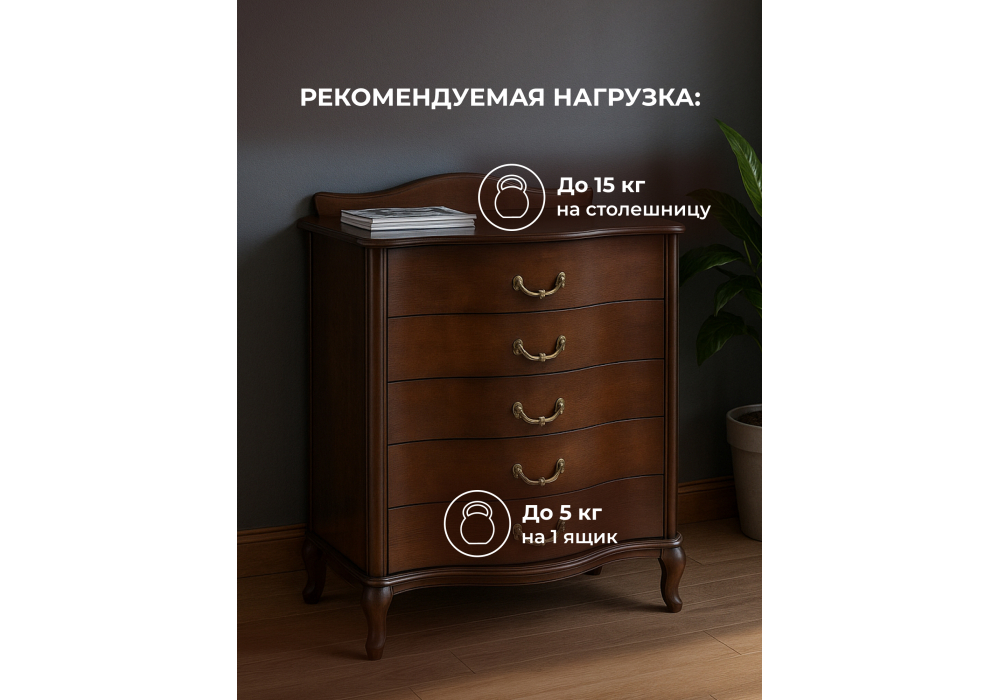 ����� ��������� ����