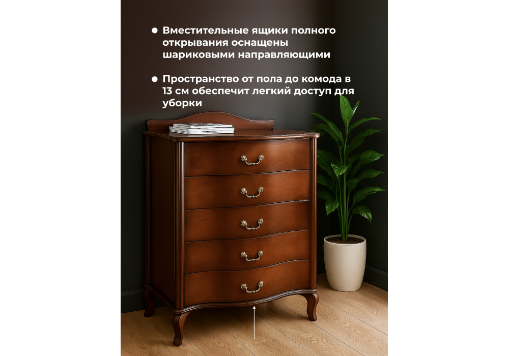 ����� ��������� ����