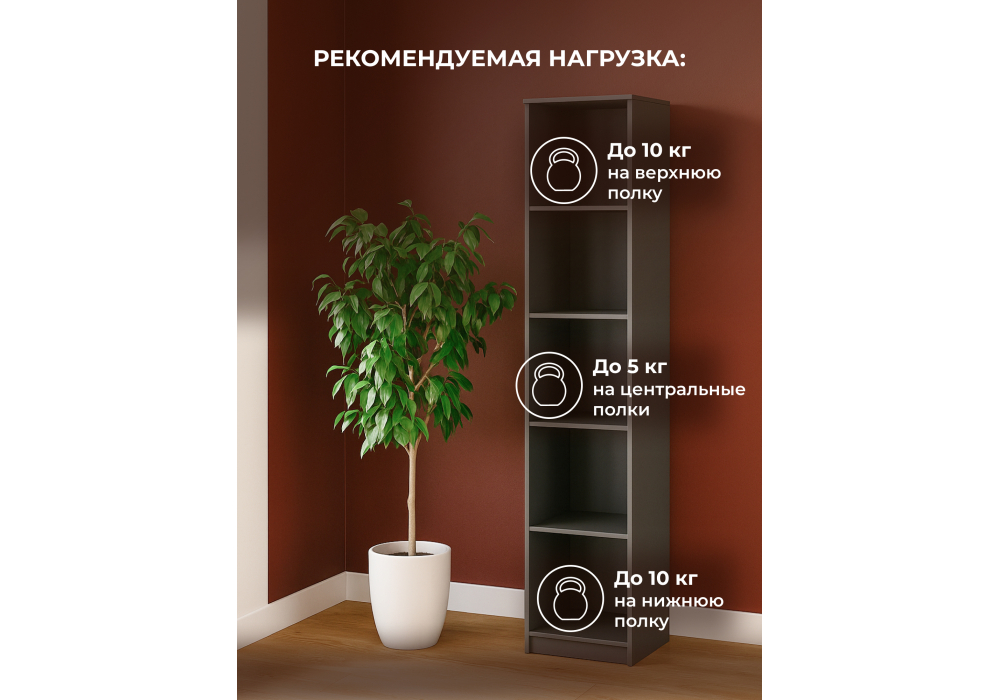 ������������� ���� ������ ������ ����� � �������������� �� �������� �� �����