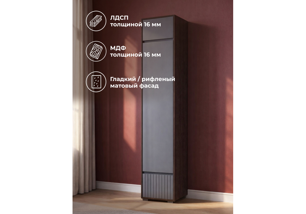 ���� ���� ����� / ������ ����