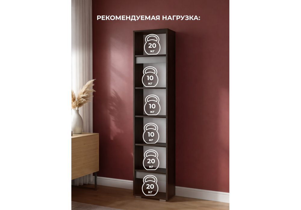 ���� ���� ����� / ������ ����